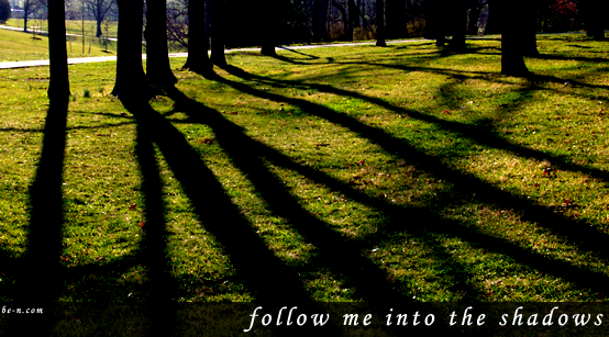 into the shadows